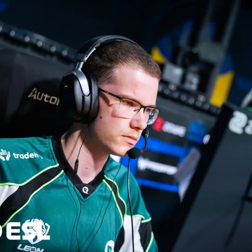 Photo of nettik